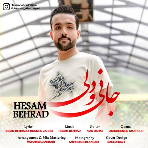 دانلود آهنگ حسام بهراد جانی و دلی